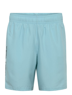 Under Armour Ua Tech Woven Wordmark Short   S Blue S