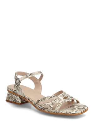 Wonders Caliza 03 - Multi/patterned - 40