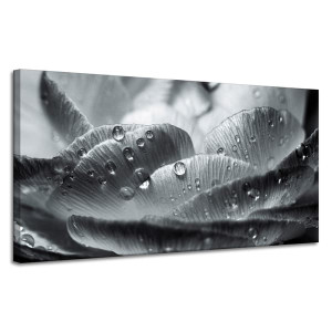 Canvas-taulu Kukka kastepisaroissa 120x60 cm