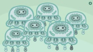 It's Spring Again Collector's Edition Steam Key GLOBAL