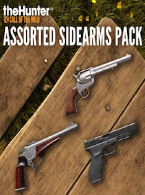TheHunter: Call of the Wild - Assorted Sidearms Pack (PC) - Steam Gift - GLOBAL