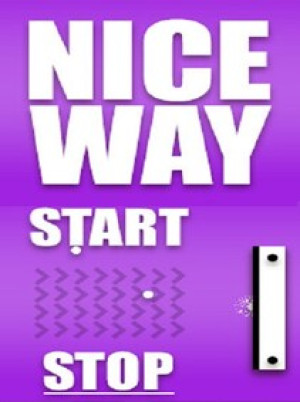 Nice Way Steam Key GLOBAL