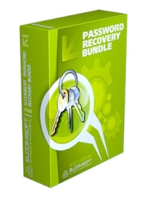 Password Recovery Bundle Enterprise Edition (2 PC Lifetime) - Official Website Key - GLOBAL