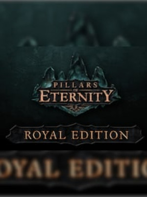 Pillars of Eternity | Royal Edition (PC) - Steam Key - GLOBAL