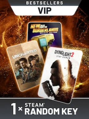 Bestsellers VIP Random 1 Key (PC) - Steam Key - EUROPE