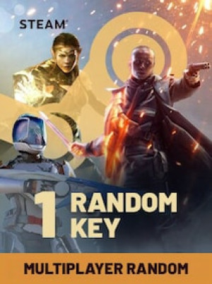 Multiplayer Random 1 Key (PC) - Steam Key - GLOBAL