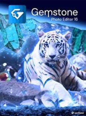 ACDSee Gemstone Photo Editor 16 (PC) (1 Device, 6 Months) - ACDSee Key - GLOBAL