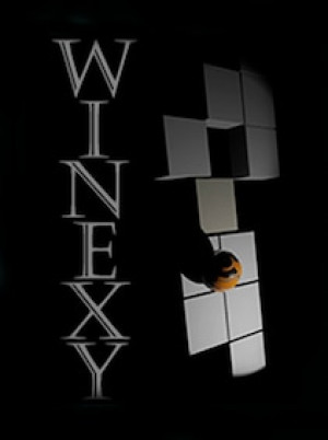 Winexy Steam Gift GLOBAL
