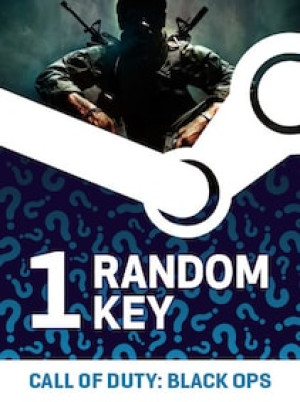 Try to Get Call of Duty: Black Ops Random 1 Key (PC) - Steam Key - GLOBAL
