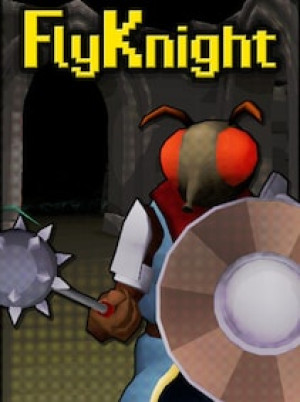 FlyKnight (PC) - Steam Gift - GLOBAL