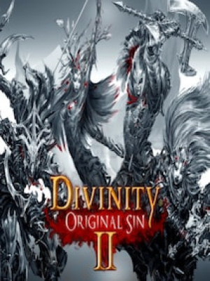Divinity: Original Sin 2 Steam Gift EUROPE