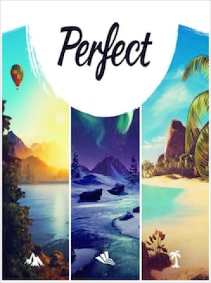 Perfect Steam Key GLOBAL