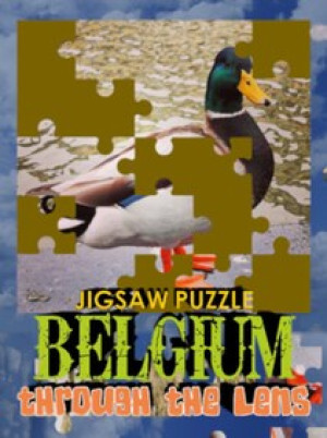 Jigsaw Puzzle: Belgium Through The Lens (PC) - Steam Key - GLOBAL