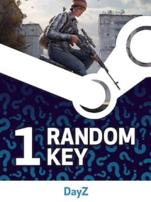Try to get Dayz - Random 1 Key (PC) - Steam Key - GLOBAL