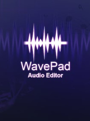 NCH: WavePad Audio Editing | Master's Edition (PC) (1 Device, Lifetime) - NCH Key - GLOBAL