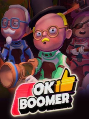 OK Boomer (PC) - Steam Key - GLOBAL