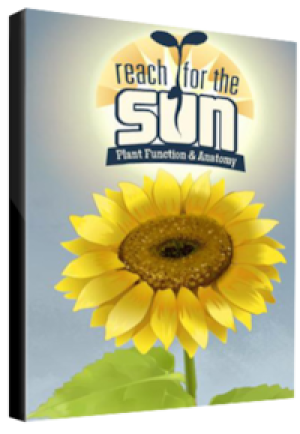 Reach for the Sun Steam Key GLOBAL