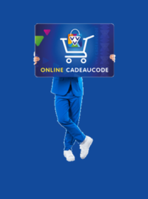 VVV Online Gift Card 15 EUR - VVV Key - NETHERLANDS