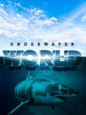 Underwater World (PC) - Steam Key - GLOBAL
