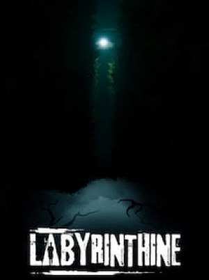 Labyrinthine (PC) - Steam Gift - GLOBAL
