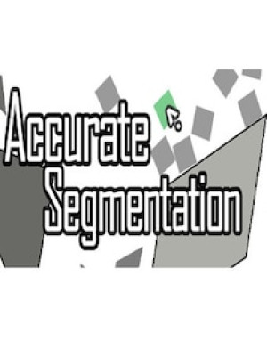 Accurate Segmentation Steam Key GLOBAL