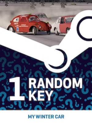 Try To Get My Winter Car - Random 1 Key (PC) - Steam Key - GLOBAL