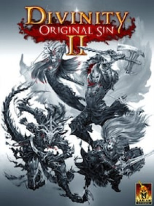 Divinity: Original Sin 2 | Eternal Edition (PC) - Steam Account - GLOBAL