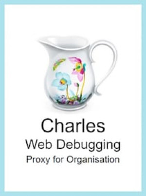 Charles Web Debugging Proxy 4 (PC) (1 Device, Lifetime) - CharlesProxy Key - GLOBAL