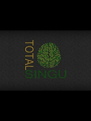 Total Singu Steam Key GLOBAL