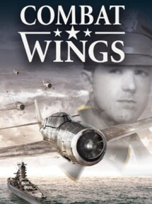 Combat Wings (PC) - Steam Key - GLOBAL