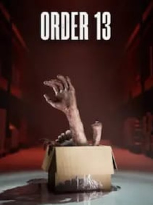 Order 13 (PC) - Steam Key - GLOBAL