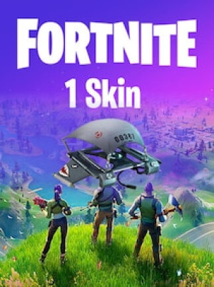 Fortnite Account (All Platform) 1 Cosmetic Mako Glider + 1-20 Random Skins - GLOBAL