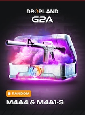 Counter Strike 2 RANDOM M4A1-S SKIN - BY DROPLAND.NET Key - GLOBAL