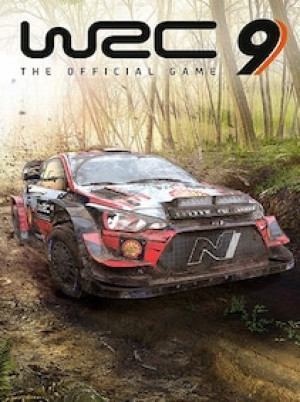 WRC 9 FIA World Rally Championship (PC) - Epic Games Key - EUROPE