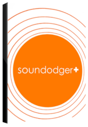 Soundodger Steam Key GLOBAL