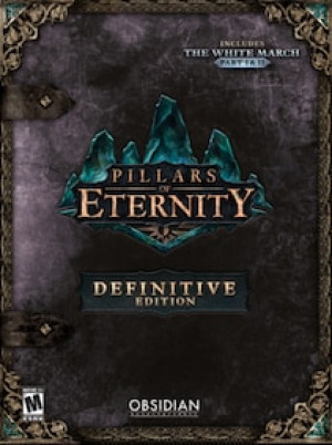 Pillars of Eternity | Definitive Edition (PC) - GOG.COM Key - GLOBAL
