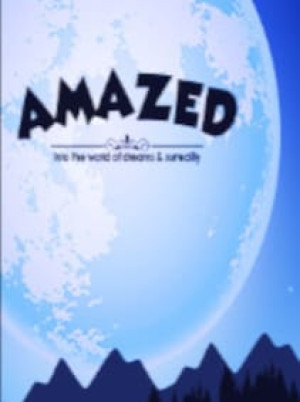 AmazeD 3D Steam Key GLOBAL