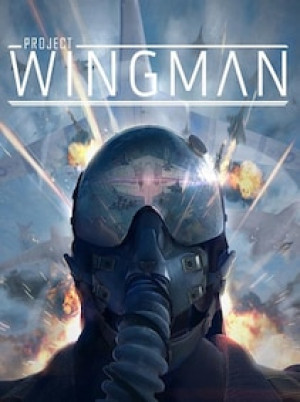 Project Wingman (PC) - Steam Account - GLOBAL