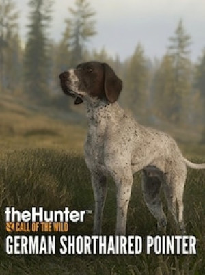 TheHunter: Call of the Wild - German Shorthaired Pointer (PC) - Steam Key - GLOBAL