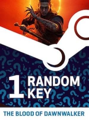 Try to Get The Blood of Dawnwalker - Random 1 Key (PC) - Steam Key - GLOBAL