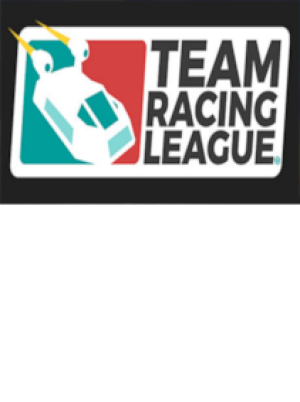 Team Racing League Steam Key GLOBAL