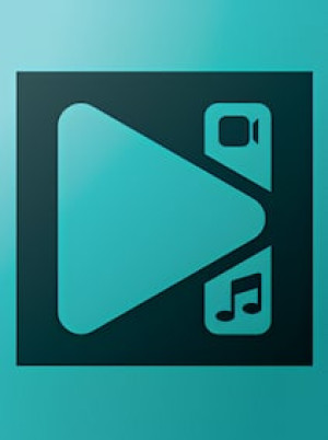 VSDC Pro Video Editor (PC) (2 Devices, 1 Year) - VSCD Key - GLOBAL