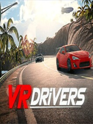 VR Drivers Steam Key GLOBAL