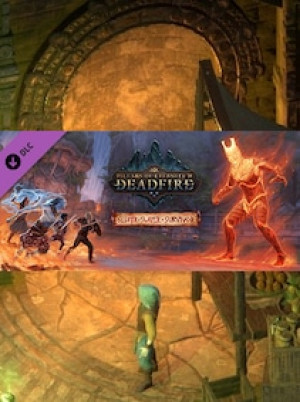 Pillars of Eternity II: Deadfire - Seeker, Slayer, Survivor Steam Gift GLOBAL