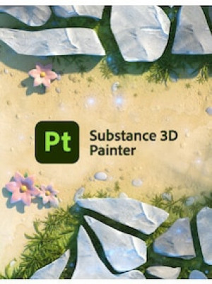 Adobe Substance 3D Painter (PC) (1 Device, 12 Months) - Adobe Key - ROW