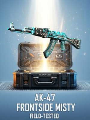 AK-47 | Frontside Misty (Field-Tested) - Steam Player Trade - GLOBAL