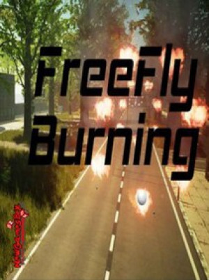 FreeFly Burning Steam Key GLOBAL