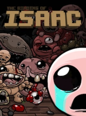 The Binding of Isaac Collection Steam Key GLOBAL