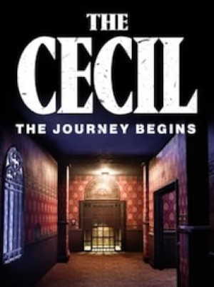 The Cecil: The Journey Begins (PC) - Steam Key - GLOBAL