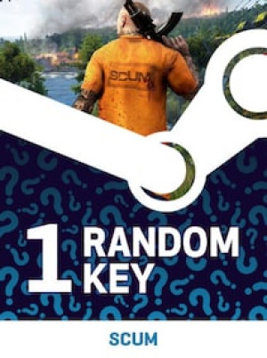 Try to Get SCUM - Random 1 Key (PC) - Steam Key - GLOBAL